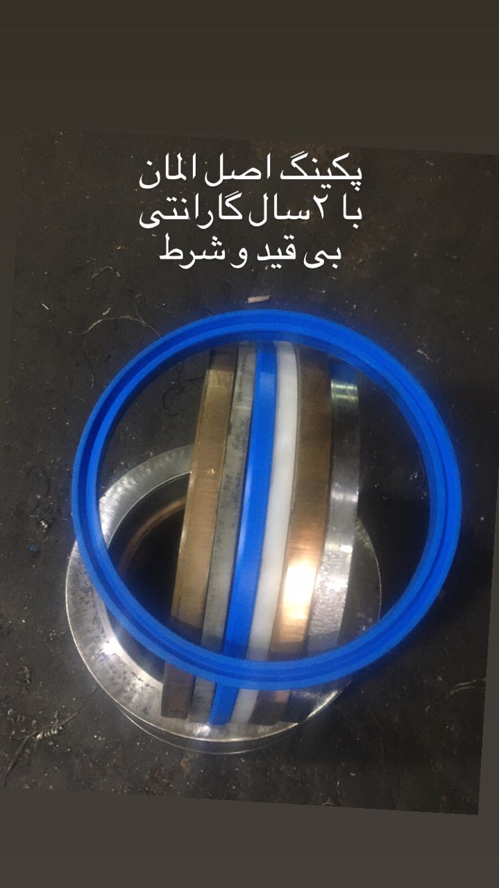 پکینگ عقابی اصل آلمان